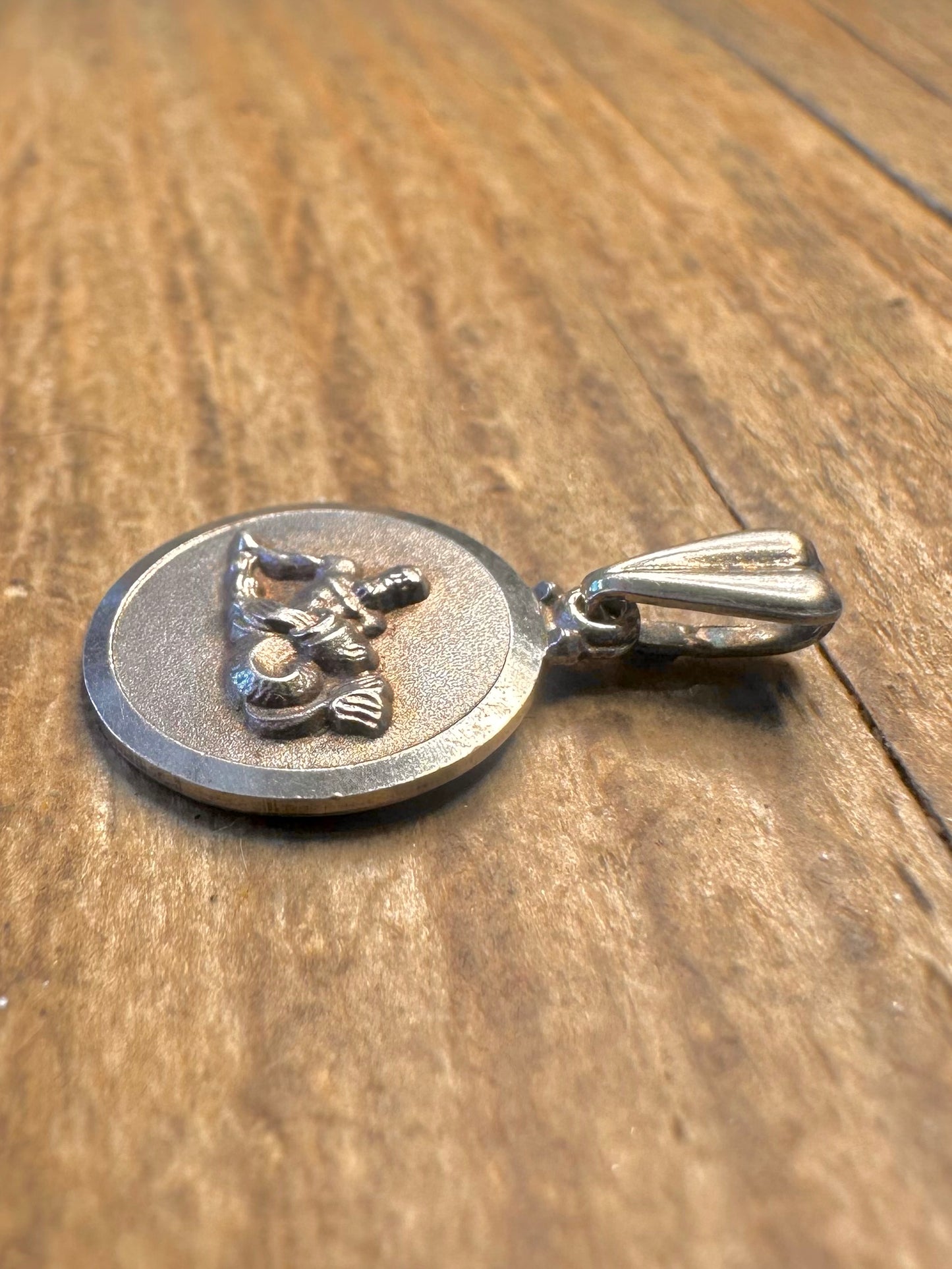 Tierkreis Wassermann 1969 Kreis 925 Sterling Silber Anhänger