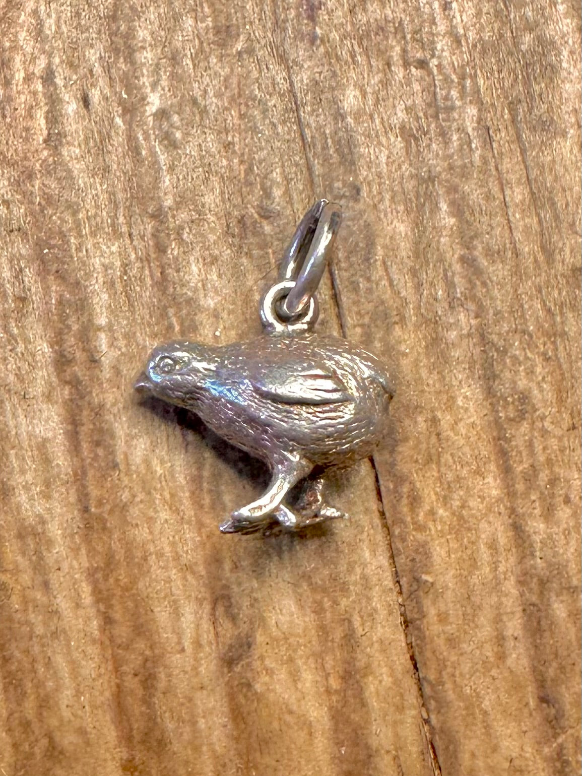 Kleines Küken 925 Sterling Silber Charm-Anhänger
