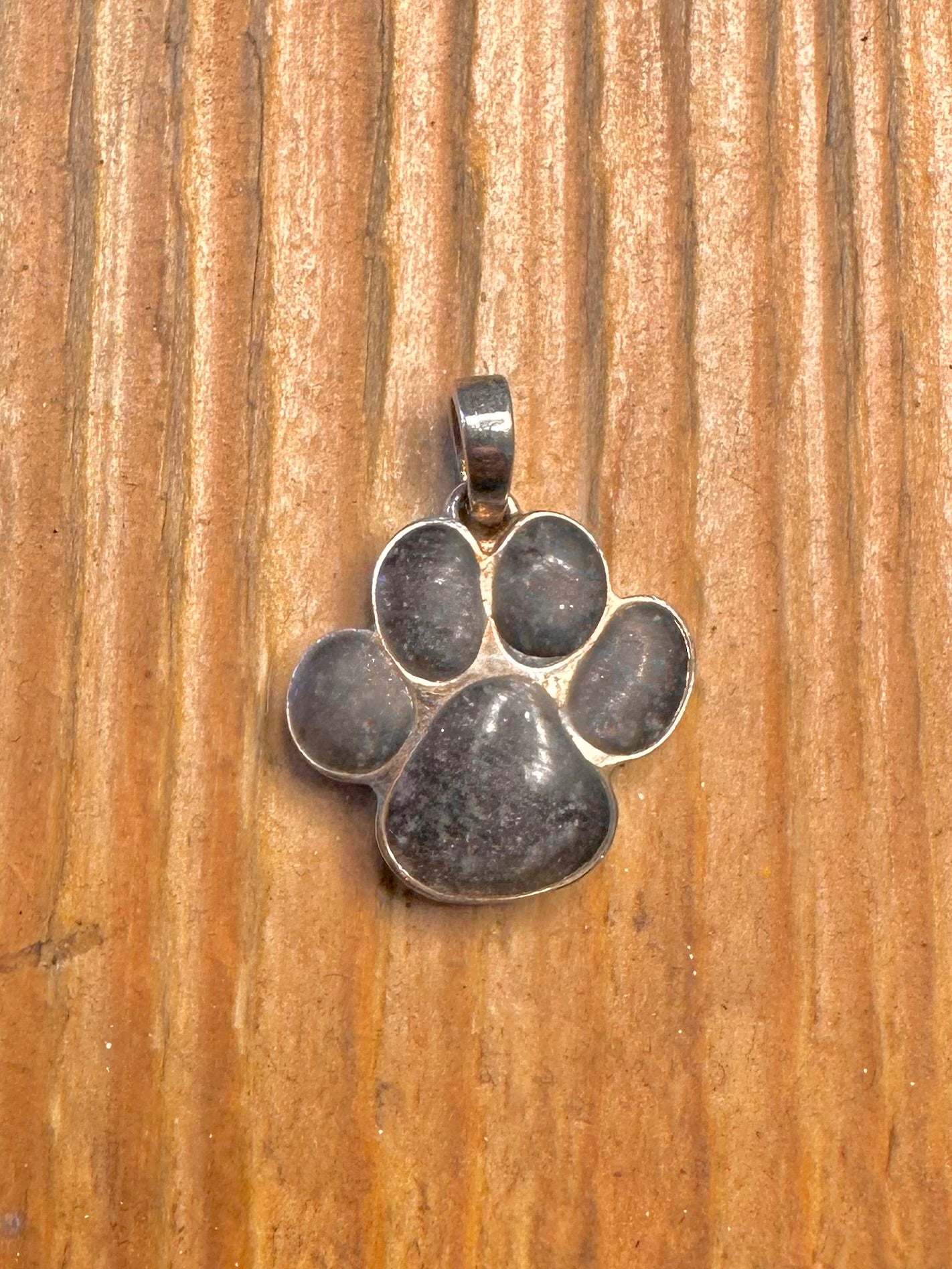 Resin Paw 925 Sterling Silver Pendant