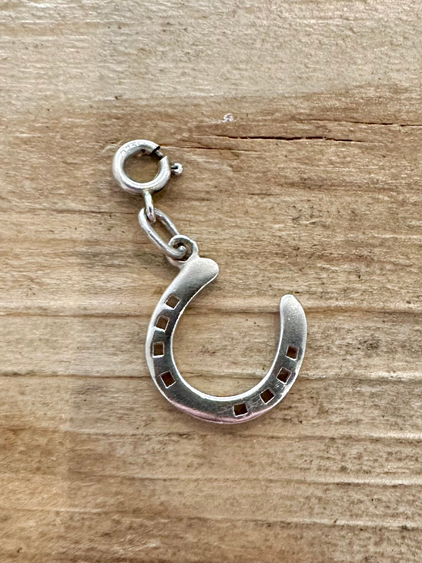 Vintage Horse Shoe 925 Silver with Clasp Pendant