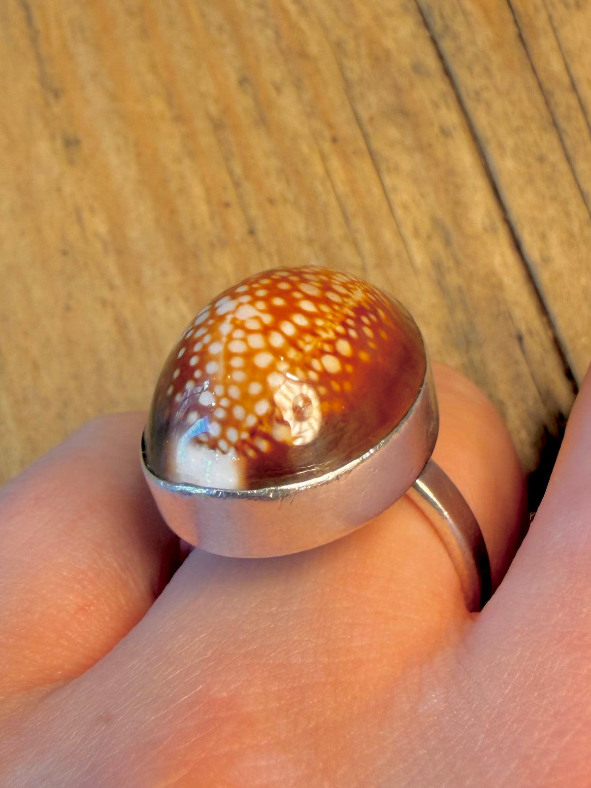 Cowrie Shell 925 Sterling Silver Size P Adjustable Ring