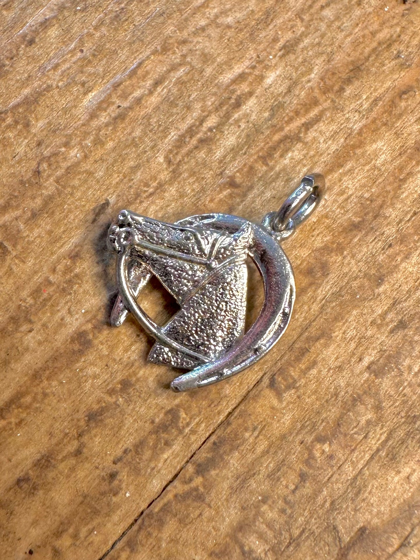 Horse Shoe 925 Sterling Silver Pendant
