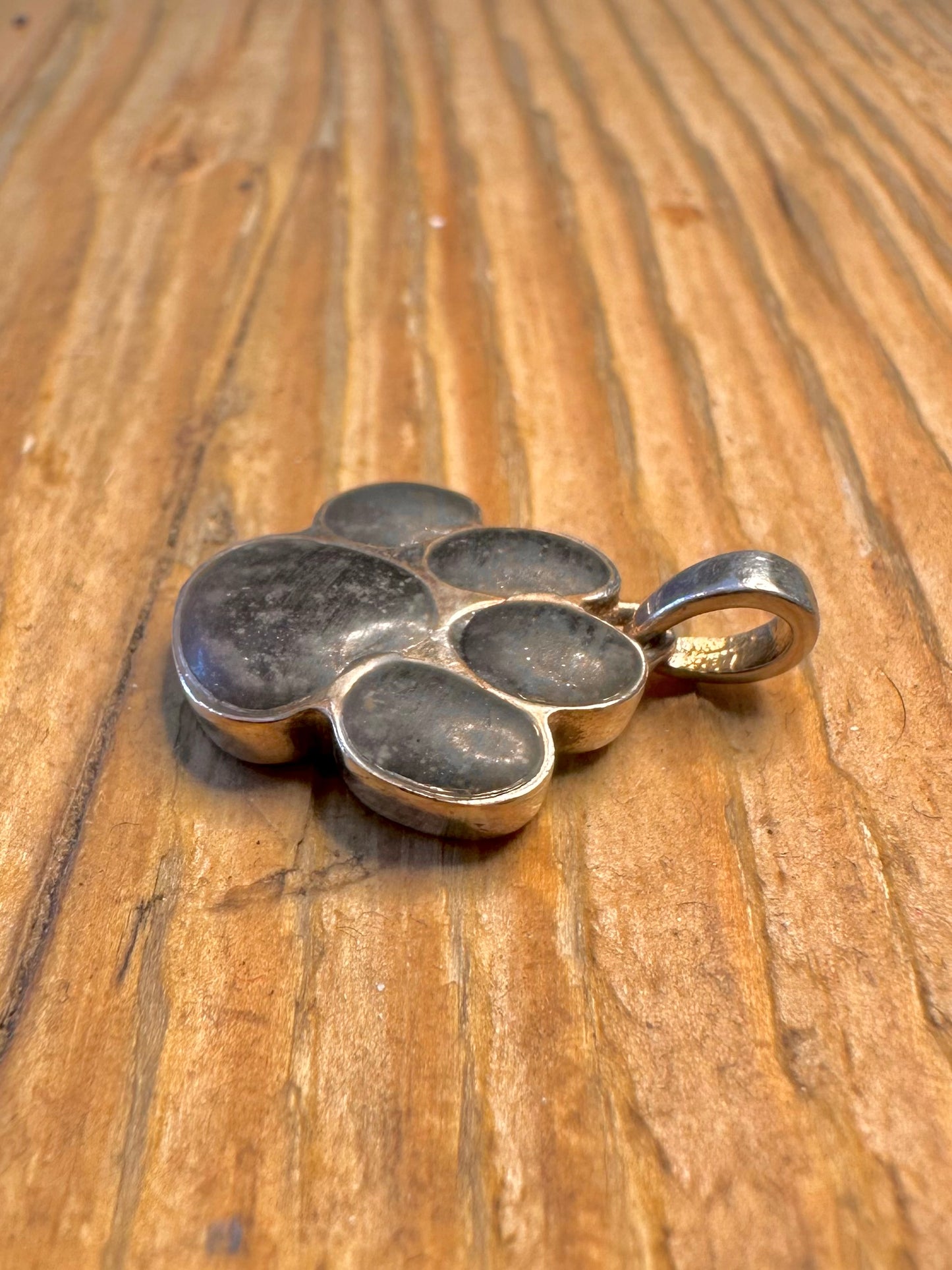 Resin Paw 925 Sterling Silver Pendant