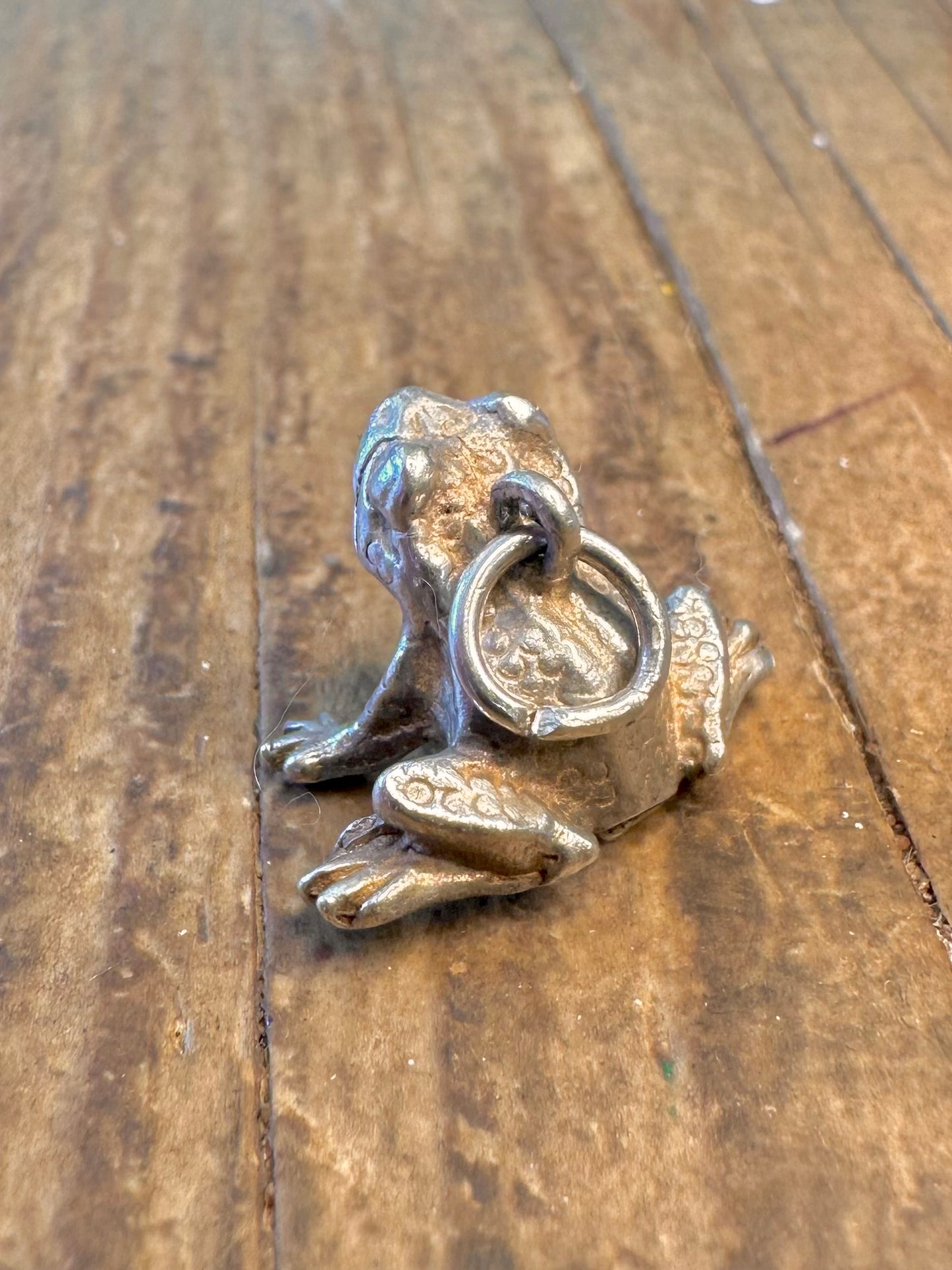 Frog Realistic 925 Sterling Silver Charm Pendant