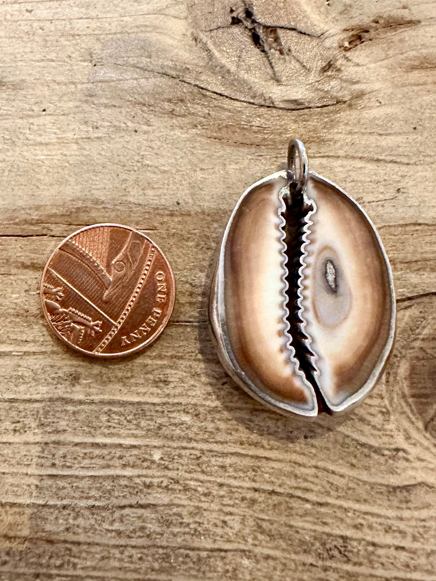 Vintage Natural Cowrie Shell 925 Silver Pendant