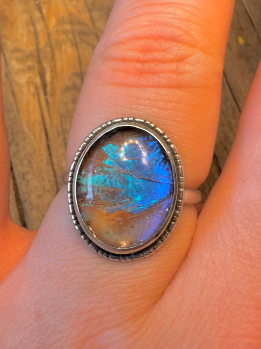 Butterfly Wing Blue Oval 925 Sterling Silver Size O1/2 Ring