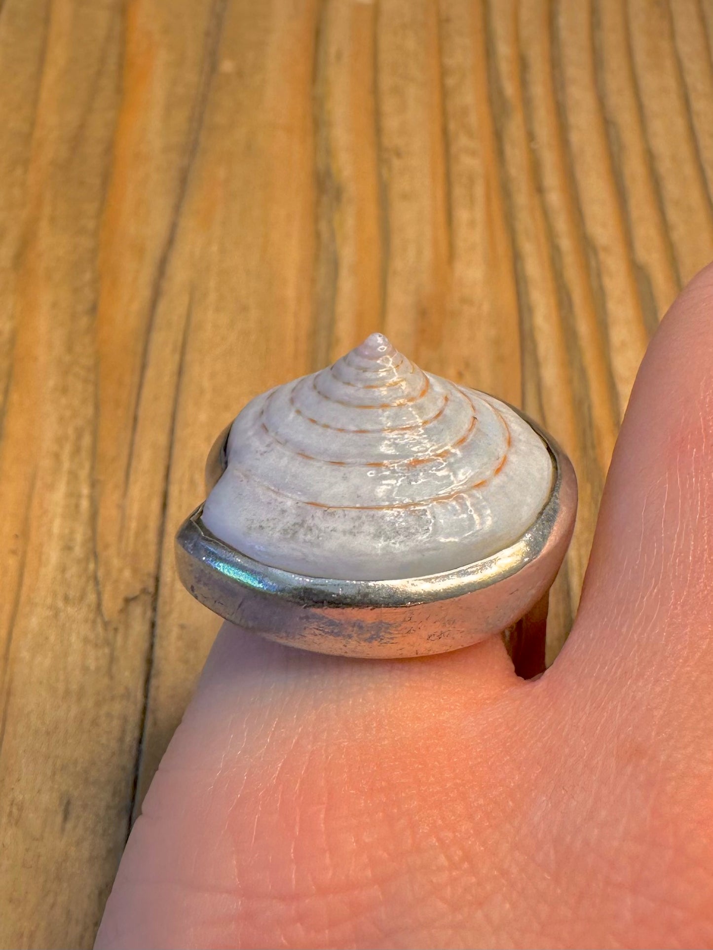 Shell Eye Shiva 925 Sterling Silver Size N Ring