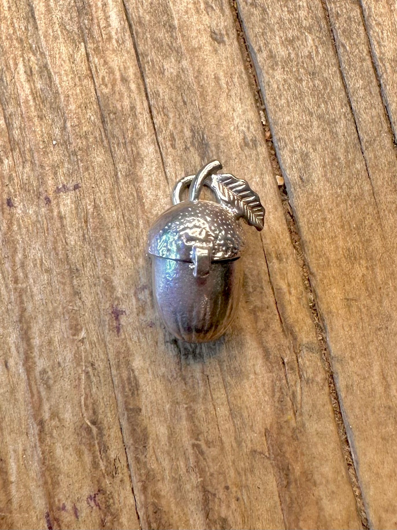 Acorn Opening Squirrel 925 Sterling Silver Charm Pendant