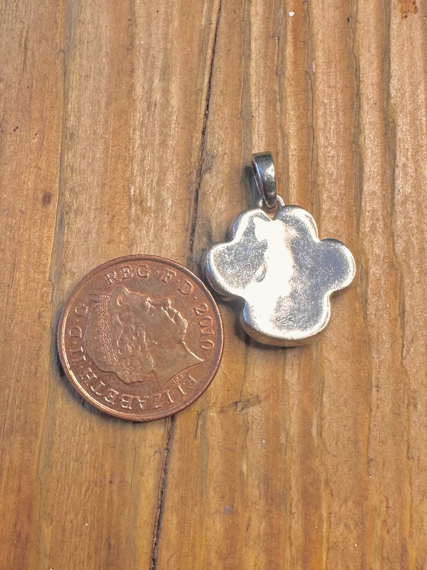 Resin Paw 925 Sterling Silver Pendant