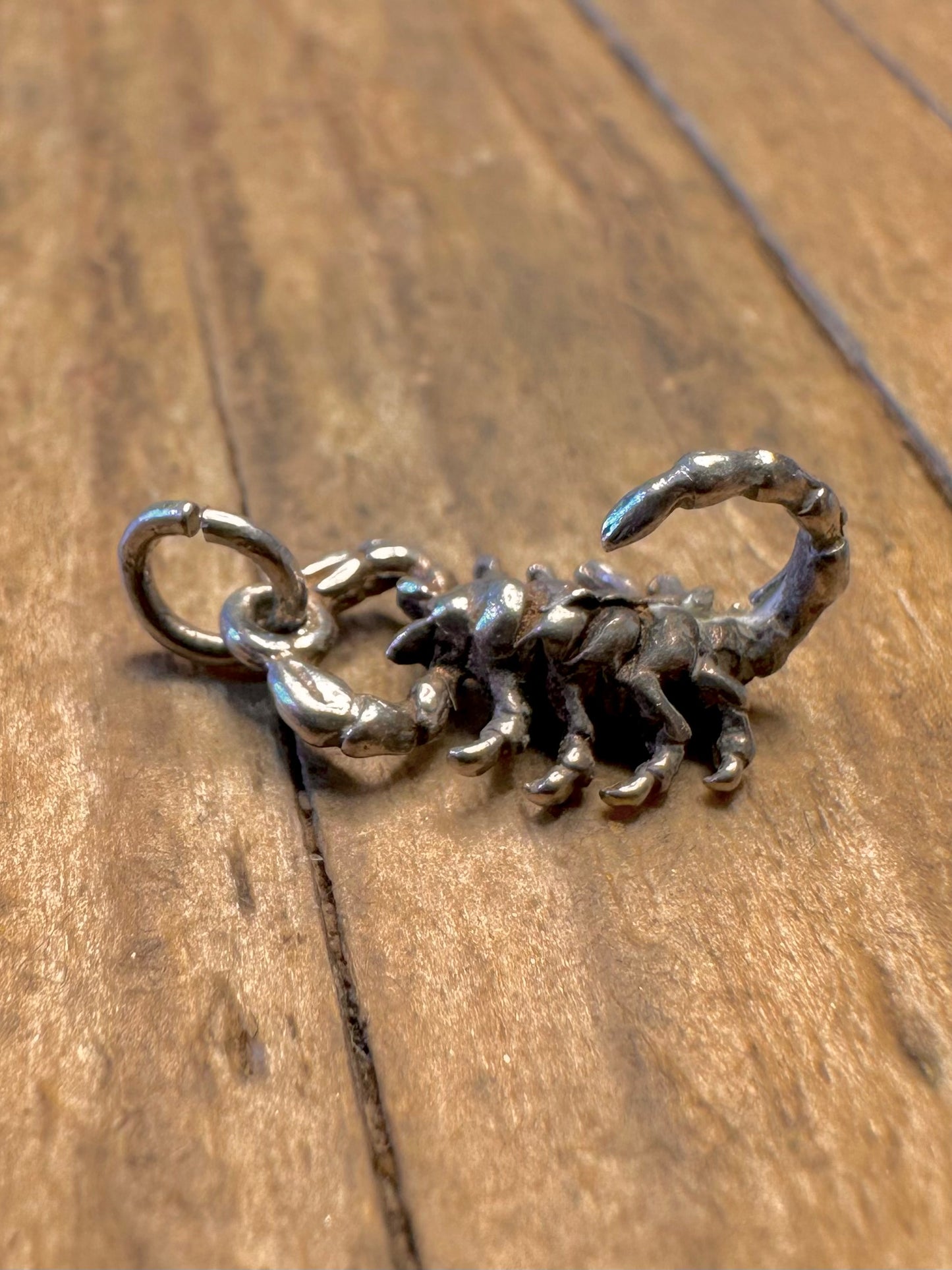 Skorpion 925 Sterling Silber Charm-Anhänger