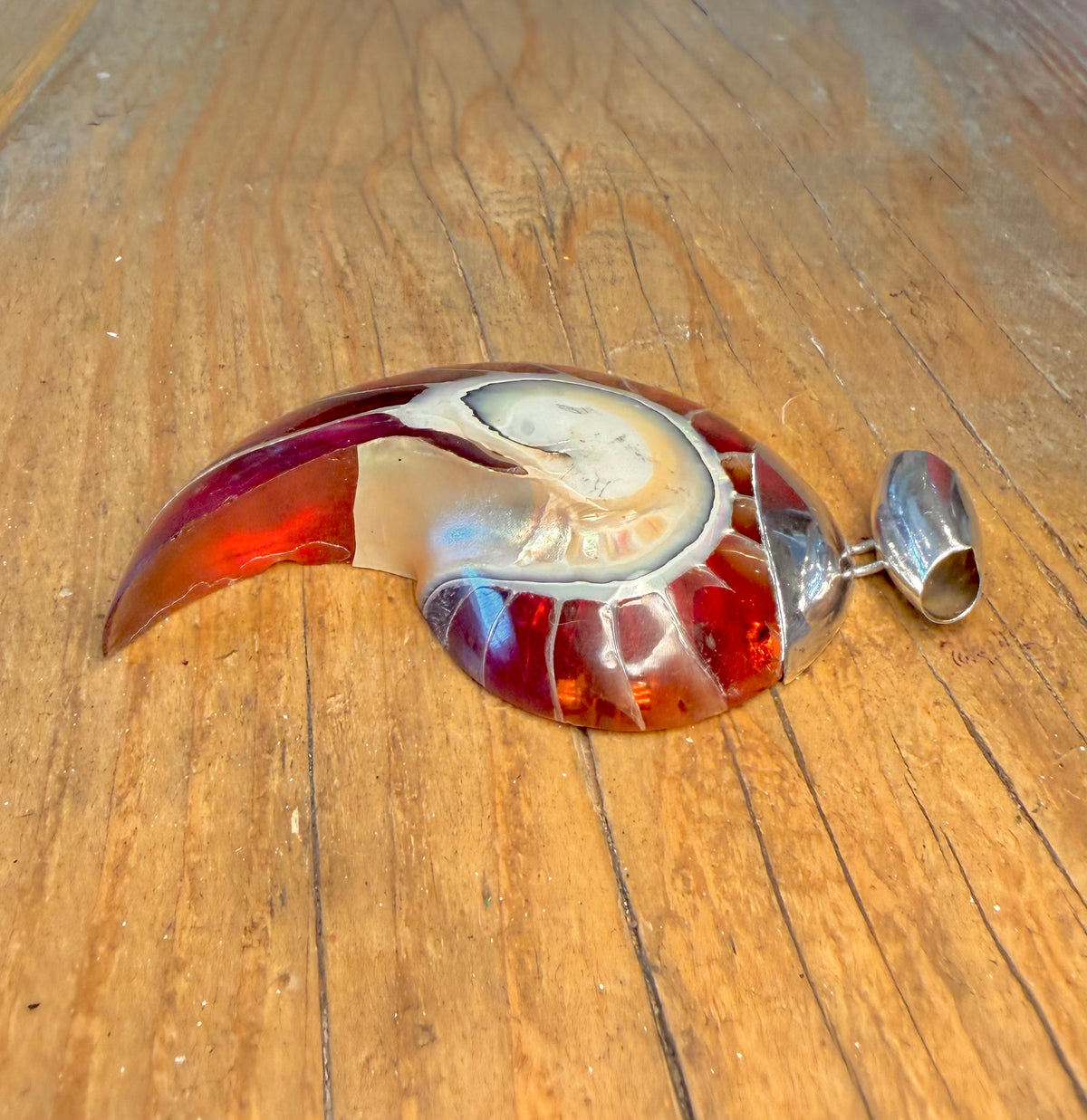 Large Red Nautilus Shell 925 Sterling Silver Pendant