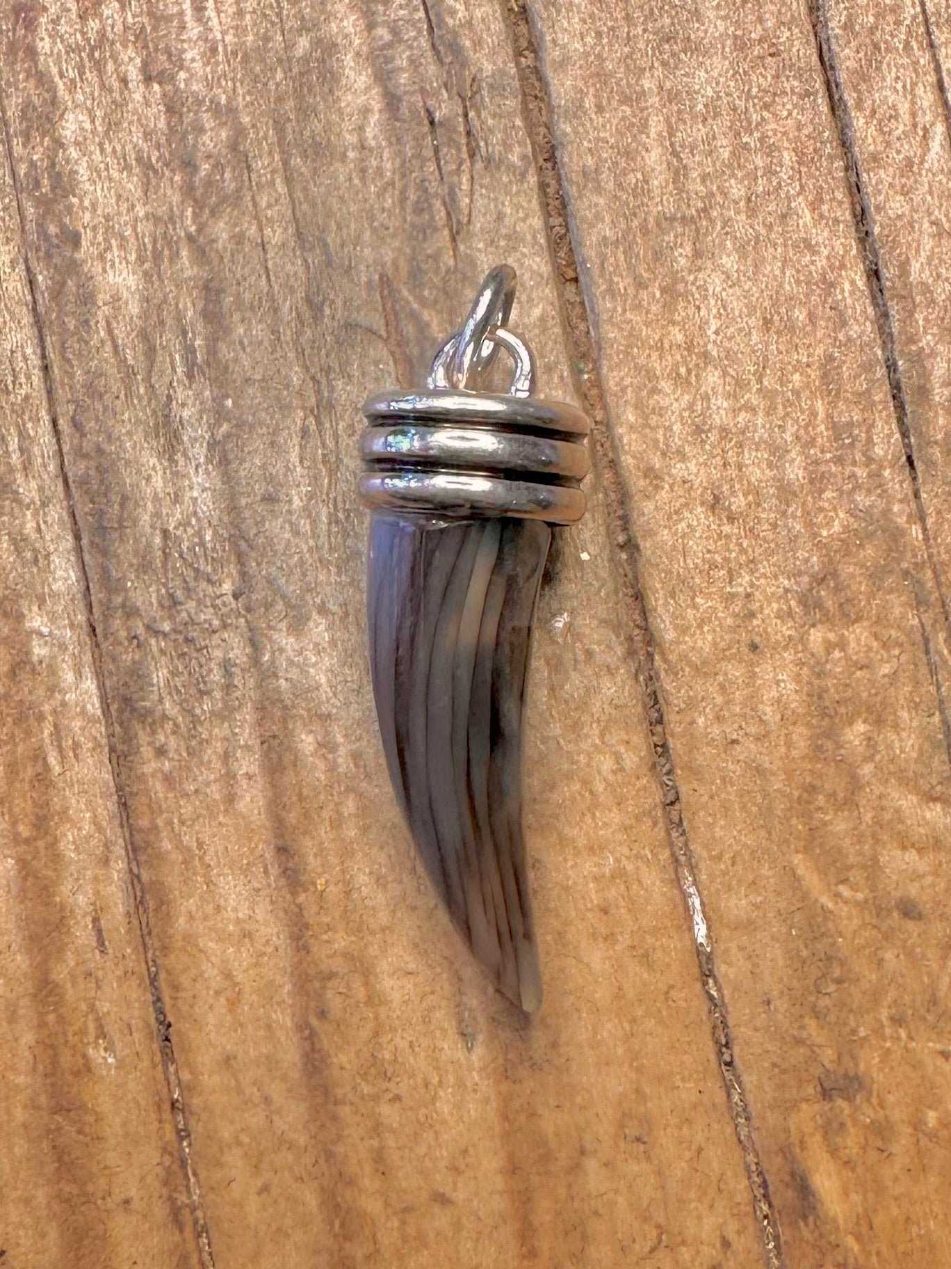 Abalone-Kralle 925 Sterling Silber Anhänger