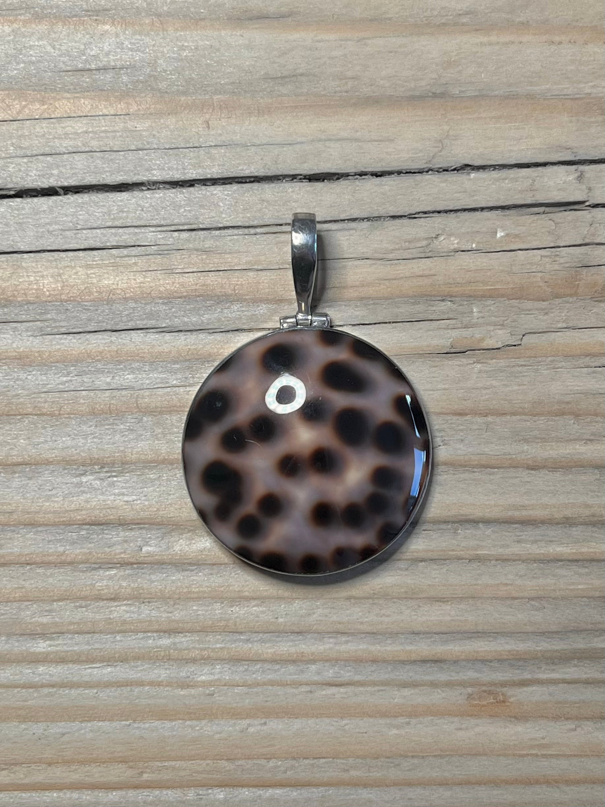 Circle Cowrie Shell 925 Sterling Silver Pendant