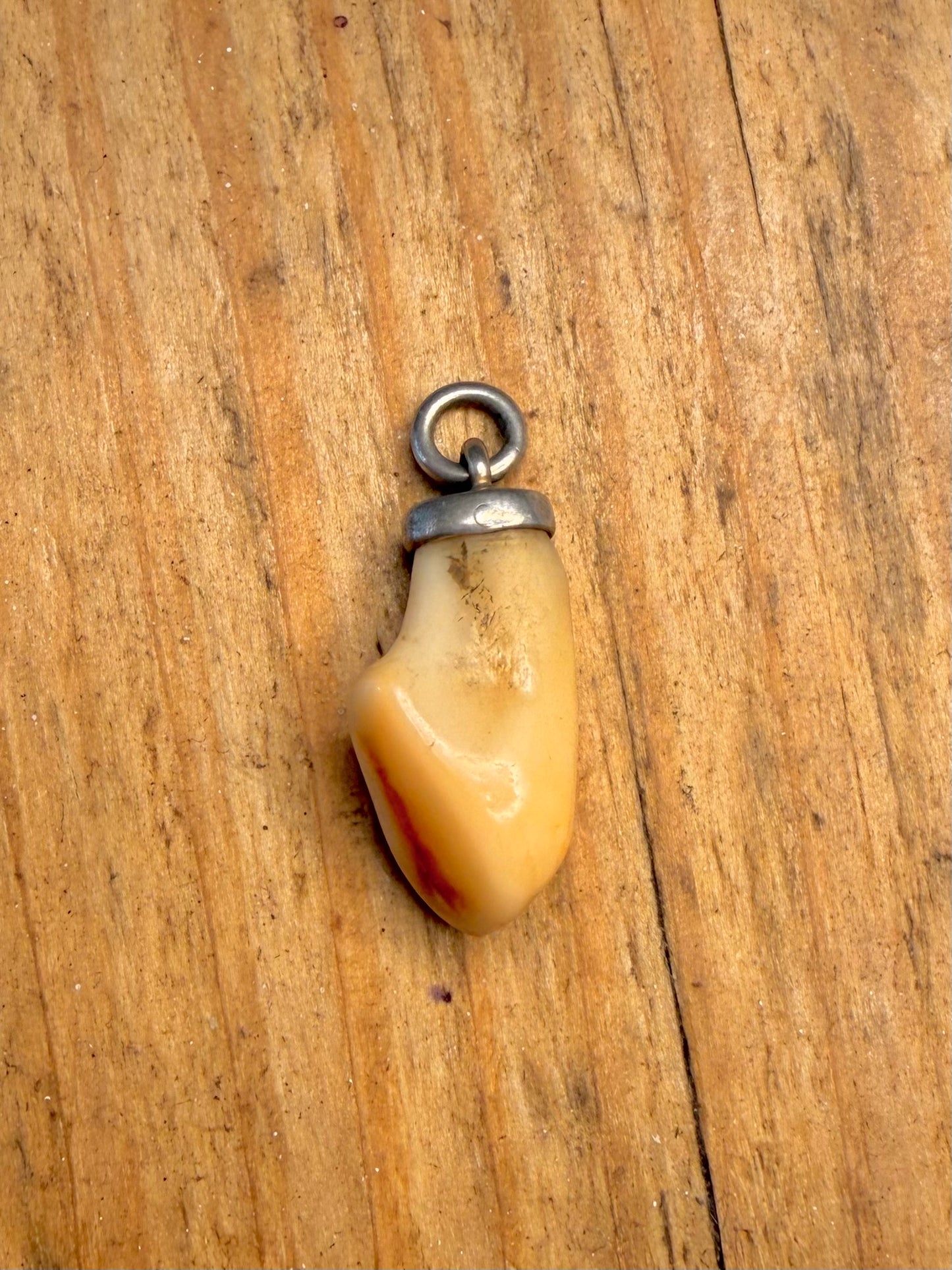 Tooth Mount 925 Sterling Silver Pendant