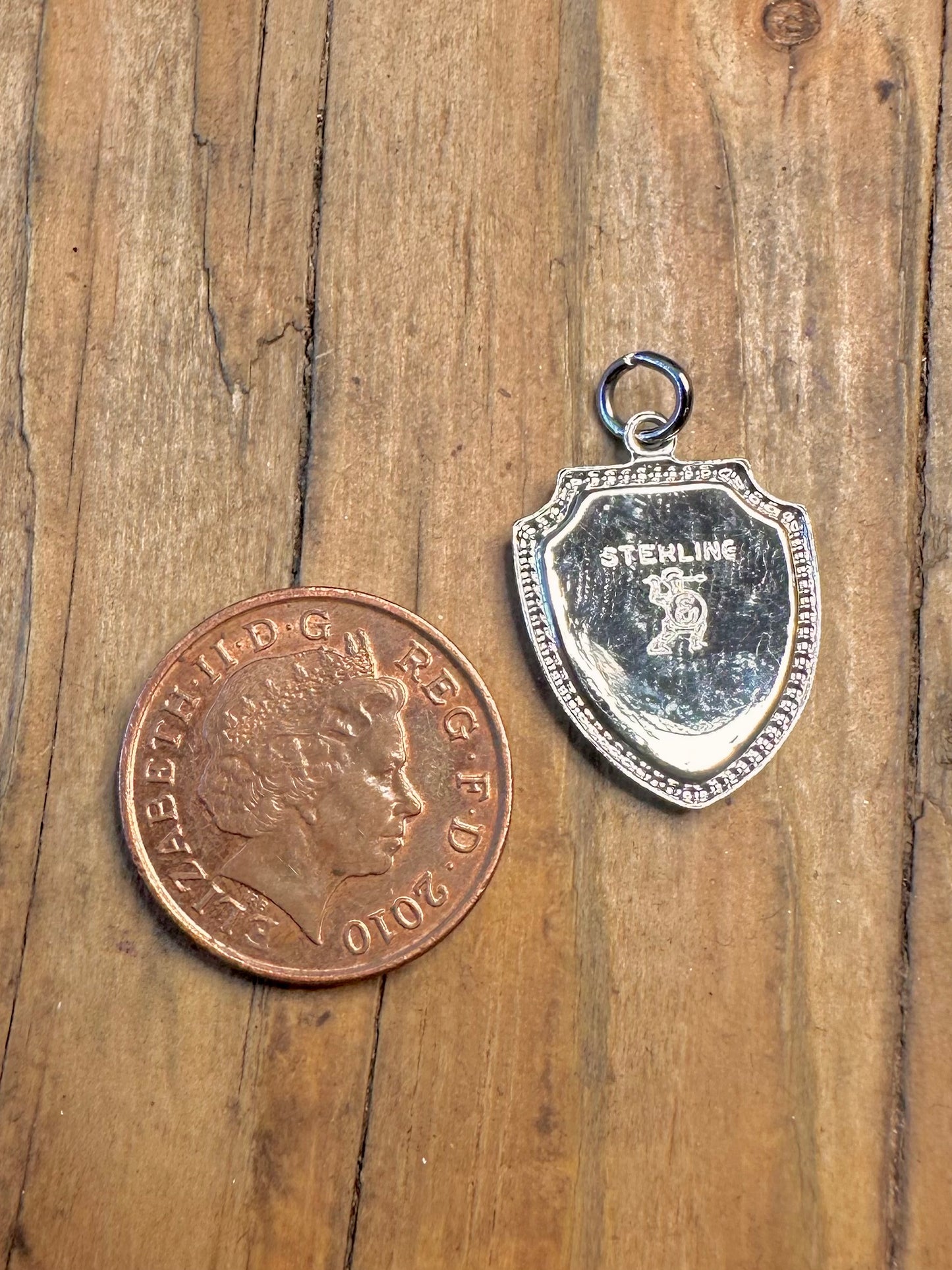 Nevada Crest Enamel 925 Sterling Silver Charm Pendant