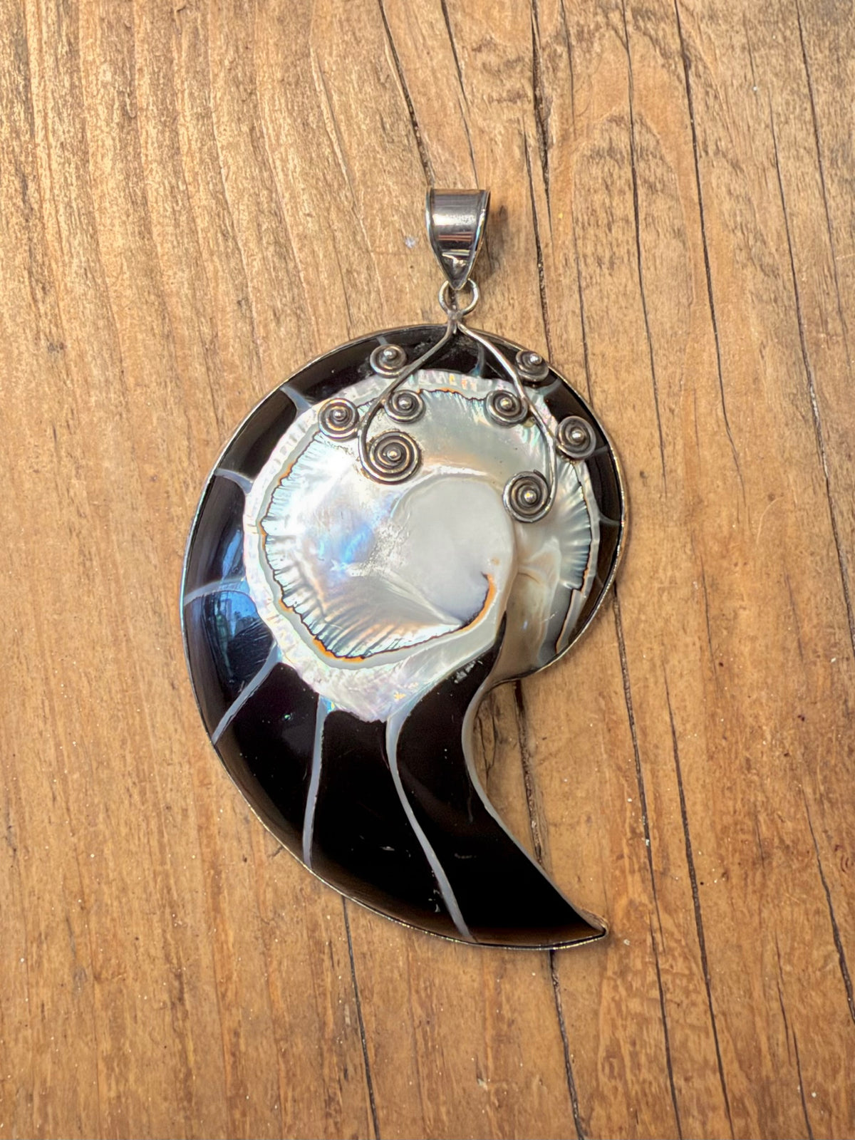 Large Black Nautilus Swirl 925 Sterling Silver Pendant