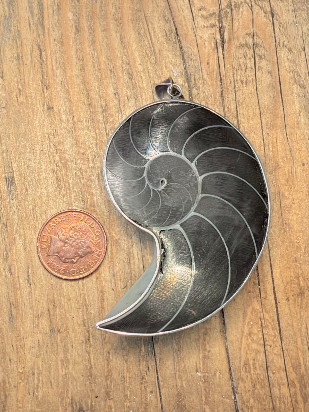Large Black Nautilus Swirl 925 Sterling Silver Pendant